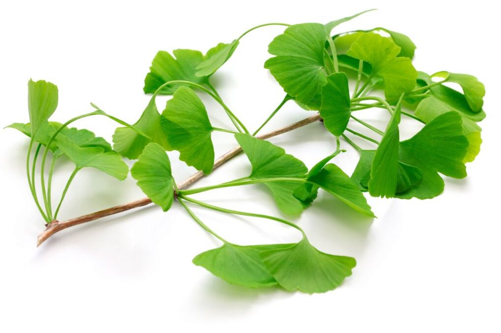 gélules de ginkgo biloba Insuvit